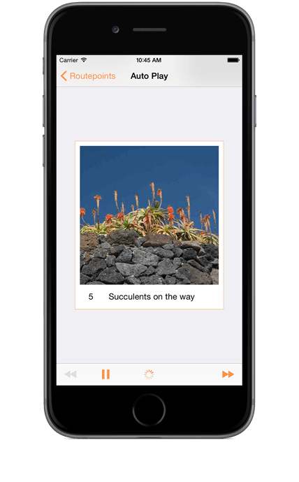 Mnemo Route Background Mode